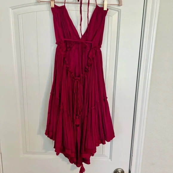 Free People | 100 Days of Shine Raspberry | Mini Dress - Picture 4 of 6